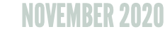 NOVEMBER 2020